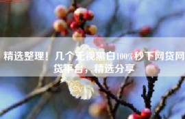 精选整理！几个无视黑白100%秒下网贷网贷平台，精选分享