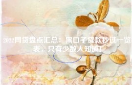 2022网贷盘点汇总：黑口子贷款秒过一览表，只有少数人知道！