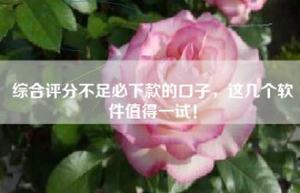 综合评分不足必下款的口子，这几个软件值得一试！