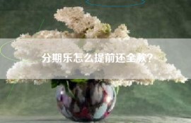 分期乐怎么提前还全款？
