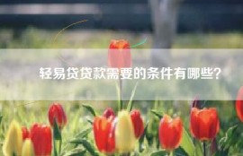 ​轻易贷贷款需要的条件有哪些？