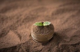 能直接贷5000元的有哪些？推荐五个能贷5000元的小额贷