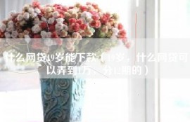 什么网贷19岁能下款（19岁，什么网贷可以弄到1万，分12期的）