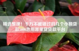 精选整理！千万不能错过的几个小额贷款5000急用哪里贷贷款平台