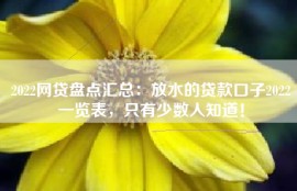 2022网贷盘点汇总：放水的贷款口子2022一览表，只有少数人知道！