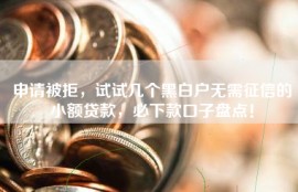 申请被拒，试试几个黑白户无需征信的小额贷款，必下款口子盘点！