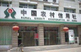 农村信用社怎么申请个人贷款？