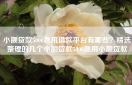 小额贷款5000急用借款平台有哪些？精选整理的几个小额贷款5000急用小额贷款