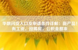 华融闪贷入口及申请条件详解：新产品！有工资，按揭房，公积金都来