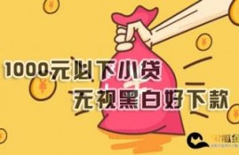 1000元必下小贷有哪些无视黑白好下款