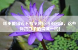 哪里能借钱不看负债征信的名单，这些网贷口子值得试一试！
