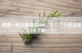 整理一份小额借款3000，这几个小额贷款口子了解一下！