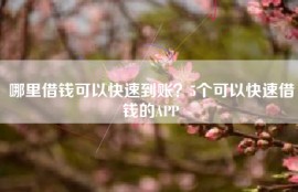 哪里借钱可以快速到账？5个可以快速借钱的APP