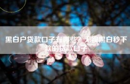 黑白户贷款口子有哪些？无视黑白秒下款的贷款口子