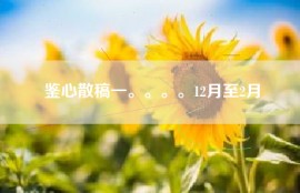 鉴心散稿一。。。。12月至2月