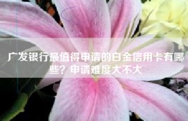 广发银行最值得申请的白金信用卡有哪些？申请难度大不大