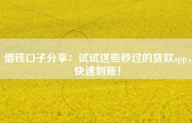 借钱口子分享：试试这些秒过的贷款app，快速到账！