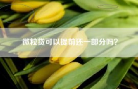 微粒贷可以提前还一部分吗？