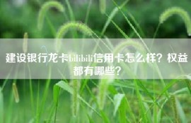 建设银行龙卡bilibili信用卡怎么样？权益都有哪些？