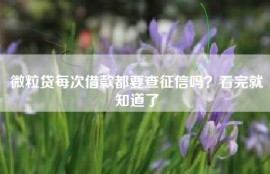 微粒贷每次借款都要查征信吗？看完就知道了