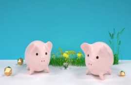 怎么买基金4万变137万？小本投资，大收益梦想成真