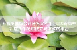 不看负债综合评分不足的平台2022有哪些？这几个免审核立马下款的平台