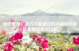 精选整理！千万不能错过的不刷脸的贷款有哪些借款口子