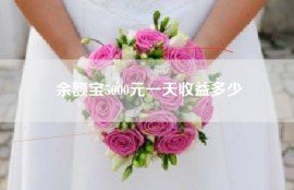 余额宝5000元一天收益多少