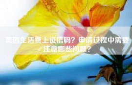 美团生活费上征信吗？申请过程中需要注意哪些问题？