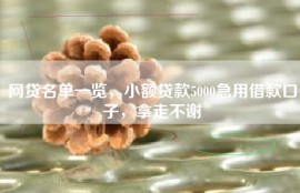 网贷名单一览，小额贷款5000急用借款口子，拿走不谢