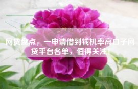 网贷盘点，一申请借到钱机率高口子网贷平台名单，值得关注！