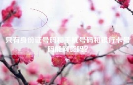 只有身份证号码和手机号码和银行卡号码能网贷吗？