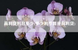 高利贷利息多少(多少利率算是高利贷)