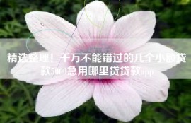 精选整理！千万不能错过的几个小额贷款5000急用哪里贷贷款app