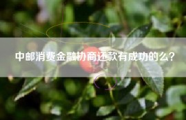 中邮消费金融协商还款有成功的么？