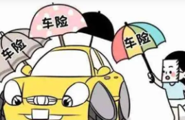 车辆损失险是否覆盖所有自然灾害？什么情况下车辆损失险不提供赔偿？