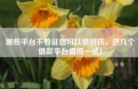 哪些平台不看征信可以借到钱，这几个借款平台值得一试！