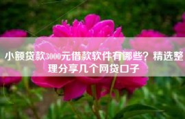 小额贷款3000元借款软件有哪些？精选整理分享几个网贷口子
