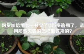 网贷加信用卡一共欠了15万多逾期了，请问那些欠钱的怎样熬过来的？