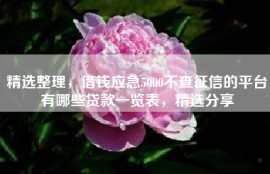 精选整理，借钱应急5000不查征信的平台有哪些贷款一览表，精选分享