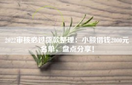 2022审核必过贷款整理：小额借钱2000元名单，盘点分享！