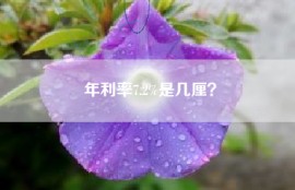 年利率7.2%是几厘？