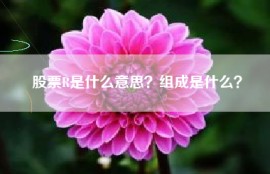 股票R是什么意思？组成是什么？