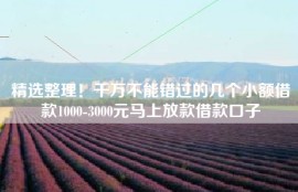 精选整理！千万不能错过的几个小额借款1000-3000元马上放款借款口子