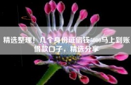 精选整理！几个身份证借钱5000马上到账借款口子，精选分享