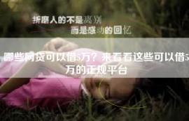 哪些网贷可以借5万？来看看这些可以借5万的正规平台