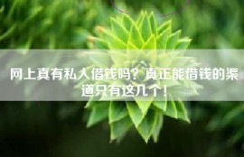 网上真有私人借钱吗？真正能借钱的渠道只有这几个！