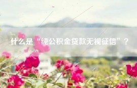 什么是“纯公积金贷款无视征信”？