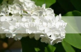 哪些银行的信用卡更好办？