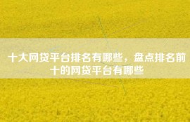 十大网贷平台排名有哪些，盘点排名前十的网贷平台有哪些